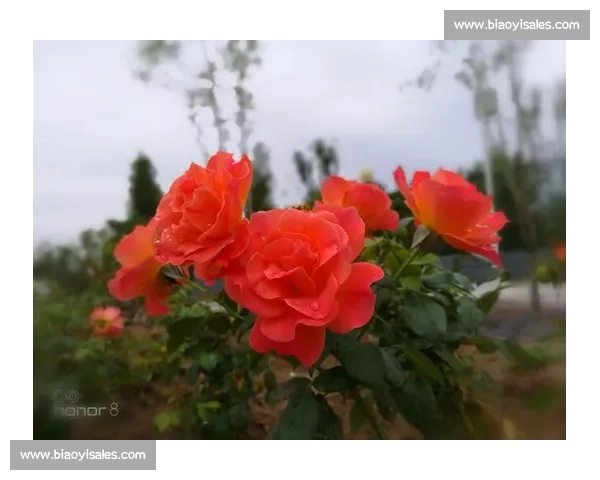 闲记：热爱，是生活最暖的答案